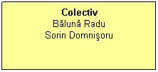 Text Box: Colectiv
Bălună Radu
Sorin Domnişoru
