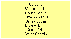 Text Box: Colectiv
Bădică Amelia
Bădică Costin
Brezovan Marius
Ganea Eugen
Liţoiu Valentin
Mihăescu Cristian
Stoica Cosmin
