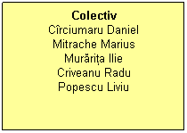 Text Box: Colectiv
Cîrciumaru Daniel
Mitrache Marius
Murăriţa Ilie
Criveanu Radu
Popescu Liviu
 
